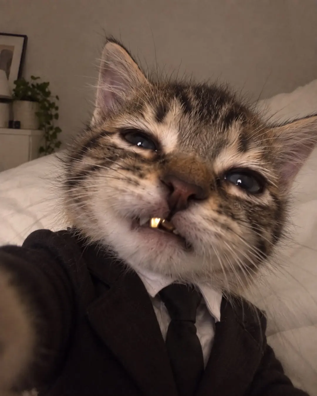 Close-up selfie of Tommie in a suit