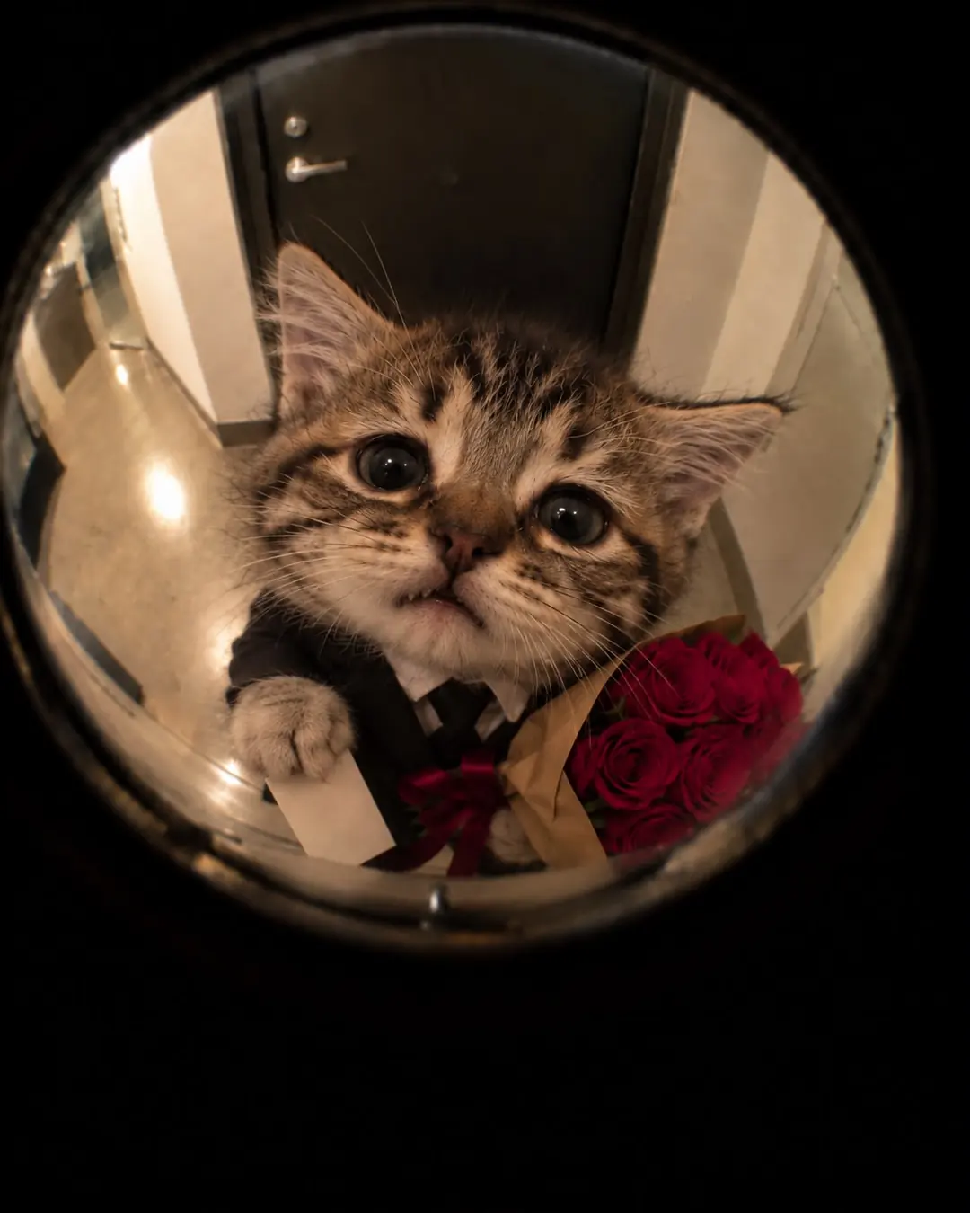 Close doorway view of Tommie holding roses
